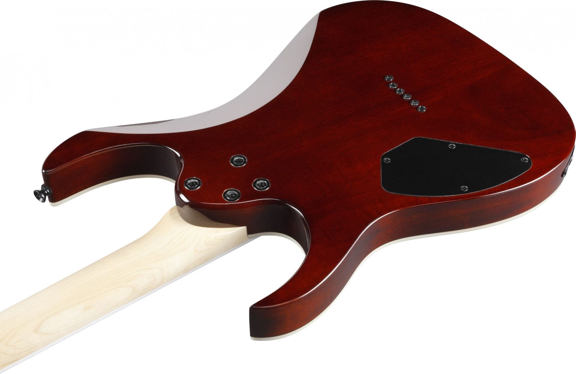 Ibanez GRGR221PA-AQB  E-Gitarre