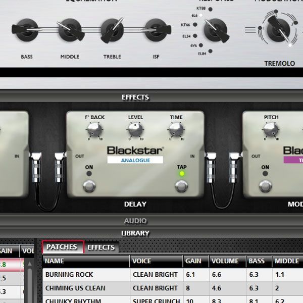Blackstar Silverline Standard 20 Watt Ladenteil !!