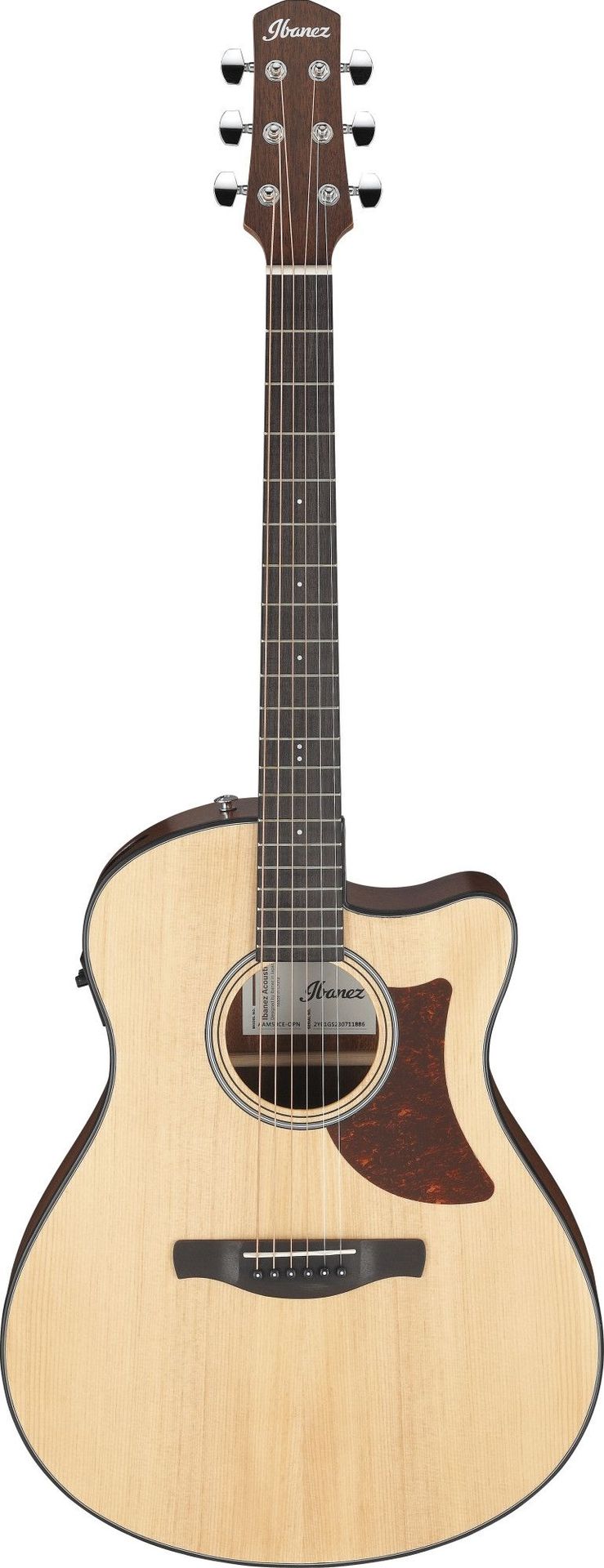 Ibanez AAM50CE-OPN_00052757_