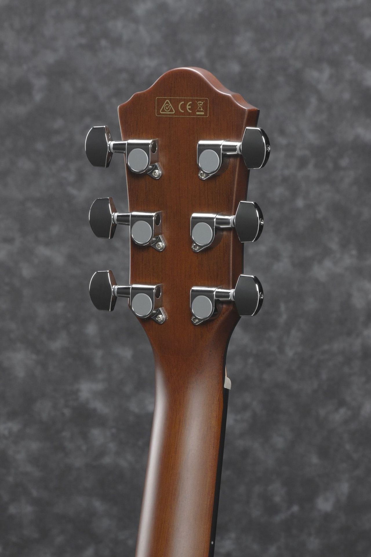Ibanez AEG70-TCH