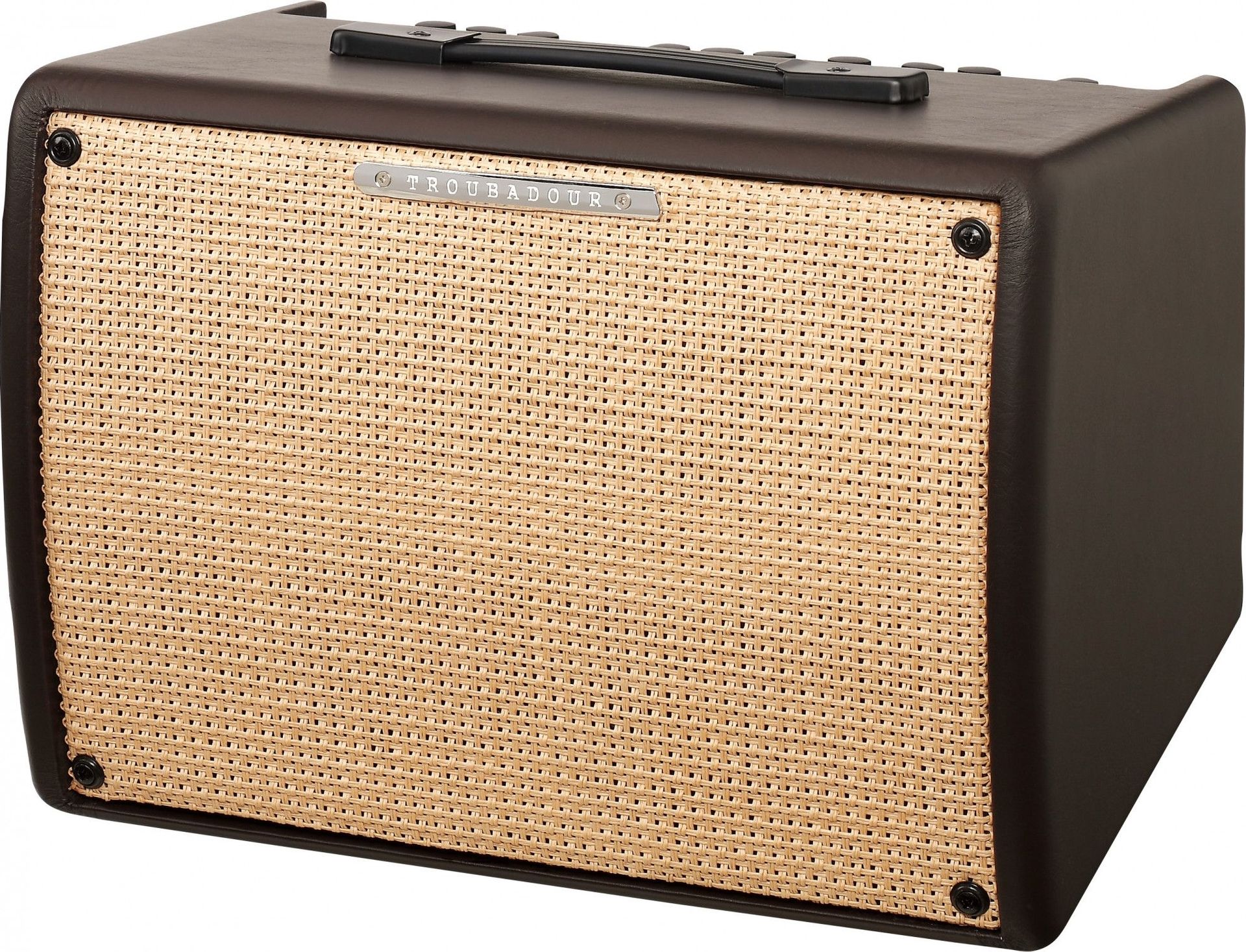 Ibanez Troubadour T30II Akustik Verstärker _00035372_