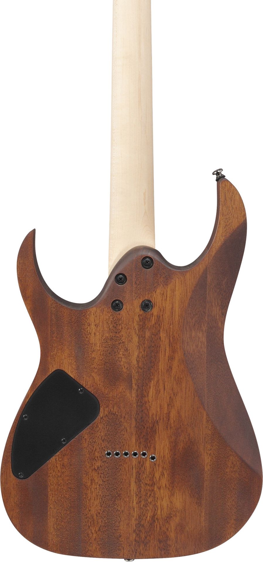 Ibanez RG421-MOL_00054983_