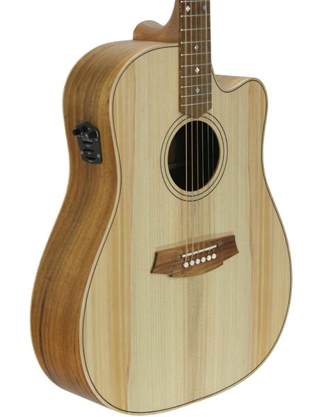 Cole Clark FL2EC-BB  incl. Koffer